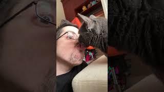 KISS FROM MR CAT