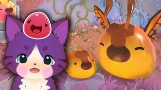 Hunter Slimes, Ringtail Slimes & Flutter Slimes + HUGE Farm Expansions! - Part 3