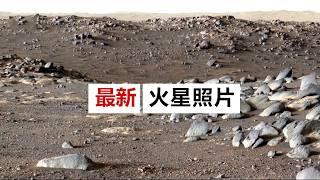 美国宇航局（毅力号）最新发布了火星照片