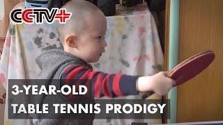 Talented Three-Year-Old Table Tennis Prodigy Stuns Netizens with Stunning Sporting Skills