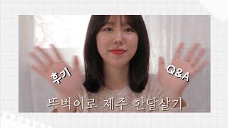 제주 한달살기 후기와 Q&A | 숙소 구하기 | 비용 | ️추천 하는곳까지