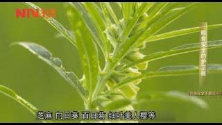 杜云推荐《粮食安全干部读本》视频书