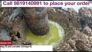 Making of Cold Pressed Groundnut Oil - IndicWisdom