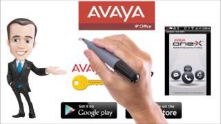 Avaya Phone Systems