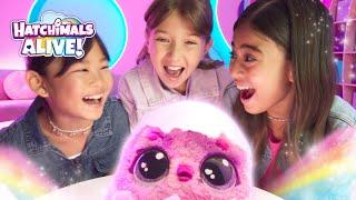 Hatchimals Alive Mystery Hatch | TV Commercial | Who Will You Hatch?