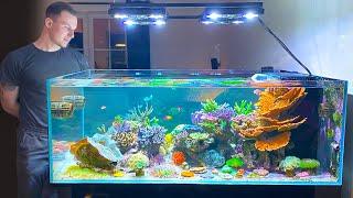 GERMAN REEF TANKS - "Designer Shallow Coral Reef" - 800 liter / 215 gallon aquarium