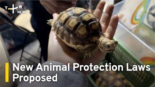 New Animal Protection Laws Proposed | TaiwanPlus News