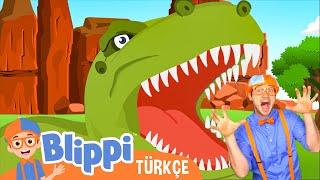 Blippi ile Dinozorları Keşfet! | Blippi Türkçe - Çocuklar için Eğitici Videolar