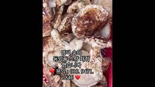 송이 등외품 1kg 전국택배 영덕송이