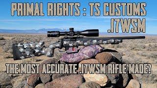 Primal Rights 17WSM - The Most Accurate 17 WSM Made?