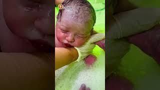 Little Wonders - Baby Videos & Tips