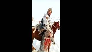 Кышында куч болгон карышкырлар!!! The Kyrgyz wolf is the most dangerous.