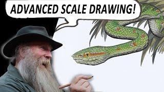 HOW TO DRAW SNAKE SCALES (ADVANCED) with Wagler's Pit Viper