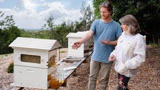 Delvene Delaney's first Flow harvest at her 'Honey Bee Hill' Apiary! 