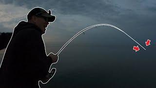 PIER Casting CRANKBAITS for GIANT SALMON (ALMOST SPOOLED US)