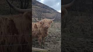 Book your adventure today! #holiday #holidayhome #scotland #arrochar #thecobbler #lochlong #hottubs