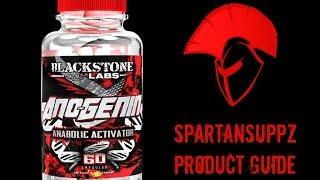 Blackstone Labs Anogenin Supplement Information Guide | Spartansuppz.com