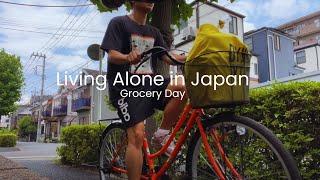 Grocery Day in Japan  | Japan Vlog | Life in Japan