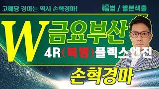 고배당 경마는 역시 손혁 경마 5/23 (금) 부산 복병마 내용을 확인해 보세요!!