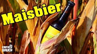 Maisbier ernten - Einfach Bauer