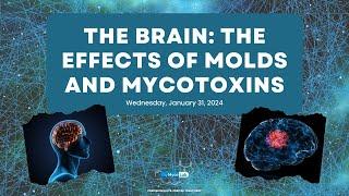 The Brain: The Effects of Molds and Mycotoxins