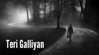 Teri Galiyan (Slowed + Reverb) Ek Villain | Total Lofi Song Channel | Textaudio