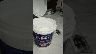 Dulux Velvet touch Diamond  Glo finish plastic paint  Br white shade #wallpaint #walldecore