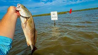 The EASIEST Way to Catch LIMITS of REDFISH (CATCH/CLEAN/COOK)