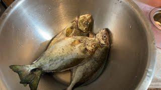 「LS Kp (釣魚生活分享)」正在直播！ 日常生活系列 煮晚餐 網路終於好了