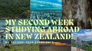 my second week studying abroad in new zealand!