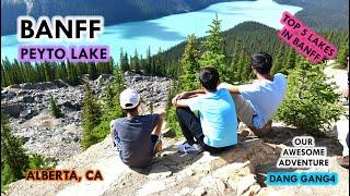 PEYTO LAKE || MUST DO & SEE THINGS IN JASPER_BANFF|| AWESOME ADVENTURE