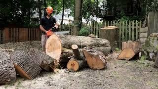 Alex Chops Up The Big Log 8/7/2021 in Brighton MA