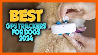 Top 10 Best GPS Trackers for Dog of 2024