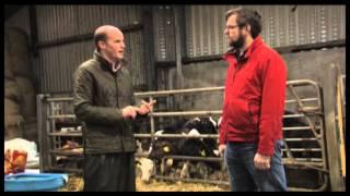 That's Farming - Dry Stock Farming - Gerard Burke