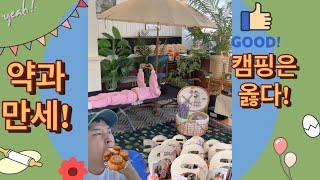 카페정리후 일상의 나날들/실내캠핑/약과쿠키도전/스승으날선물/Cafe vlog | 스몰파티 | 소모임 | 대관 | ASMR