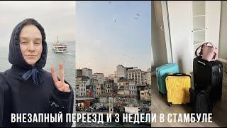 23. ОСТАЛИСЬ ЖИТЬ В СТАМБУЛЕ | Karolina K