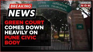 Breaking News | NGT Reprimands Pune Civic Body After Innumerable Trees Cut In Last Few Weeks