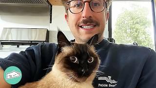 Cat "Comedian" Has A Lot To Say To This Guy | Cuddle Buddies