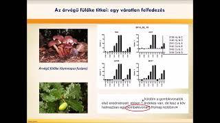 Revealing Fungi - Ten years in fungal drug research - Attila Ványolós PhD