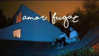 Amigo de Artistas - Amor Fugaz (Visualizer)