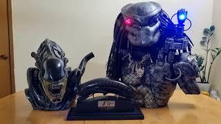 Sideshow Aliens Warrior Life Size Bust Unboxing & Predator Side By Side