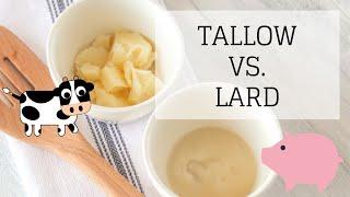 Tallow Vs. Lard | WHICH IS BETTER? | Bumblebee Apothecary