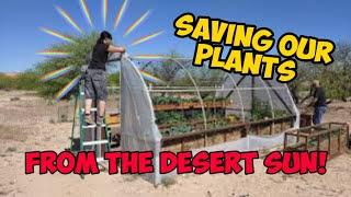 #greenhouse #shadecloth How We Save Our Plants From The Desert Heat