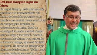 16 Domingo de Tiempo Ordinario | Nuestra Señora de Guadalupe | Padre Gerardo Hablaba de Parábolas