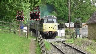 31270/31466 northbound at Northwood Halt, 1130 from Kidderminster. Severn Valley Diesel Gala 2023