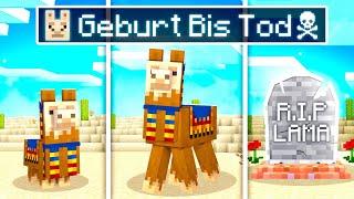 GEBURT bis TOD als LAMA! Minecraft