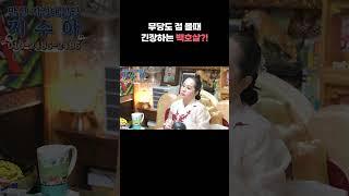 무속인도 점 볼 때 긴장하는 백호살/가장 위험한데 순식간에 큰 부자되는 사주 특징! #shorts