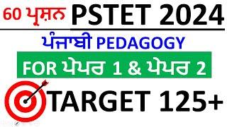 PUNJABI PEDAGOGY FOR PSTET 2024| 60 MCQs