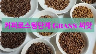 Coffee 로스팅 단계 Roasting Color Guide 6 sec frame