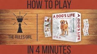 How to Play A Dog's Life in 4 Minutes - The Rules Girl